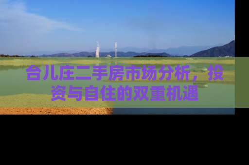 台儿庄二手房市场分析，投资与自住的双重机遇