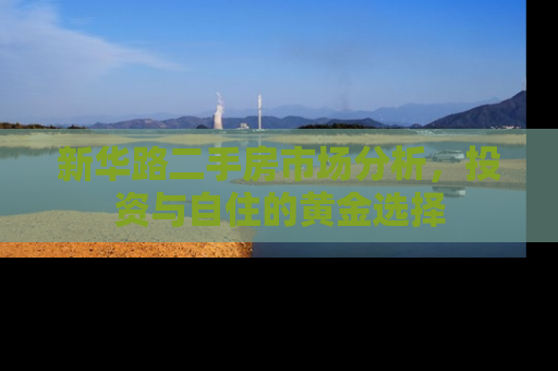 新华路二手房市场分析，投资与自住的黄金选择