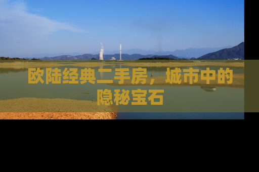 欧陆经典二手房，城市中的隐秘宝石