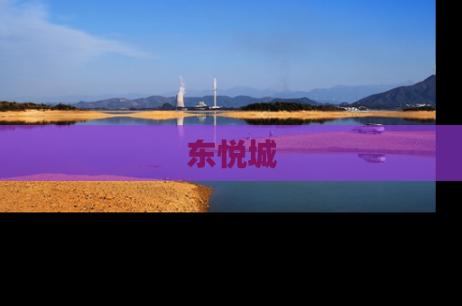 东悦城