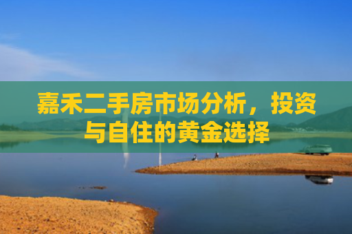 嘉禾二手房市场分析，投资与自住的黄金选择