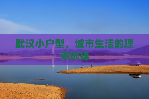 武汉小户型，城市生活的理想选择