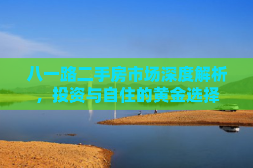 八一路二手房市场深度解析，投资与自住的黄金选择