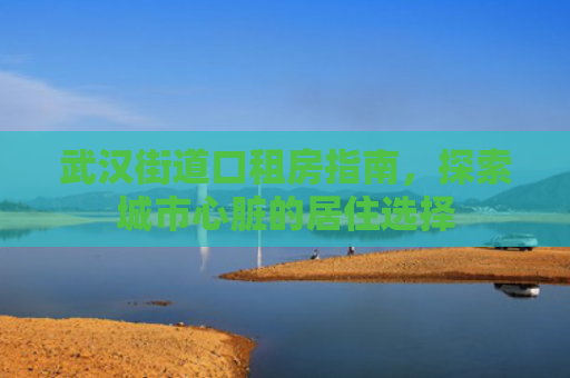 武汉街道口租房指南，探索城市心脏的居住选择