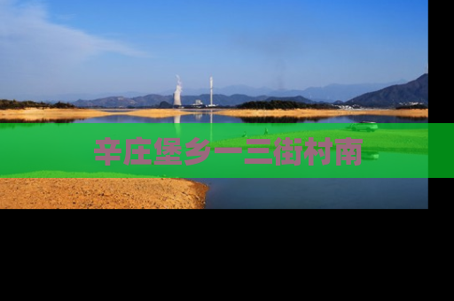 辛庄堡乡一三街村南