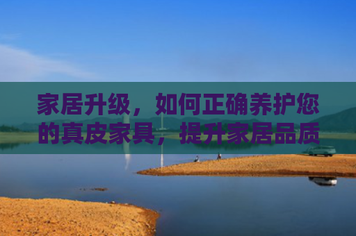 家居升级，如何正确养护您的真皮家具，提升家居品质与价值