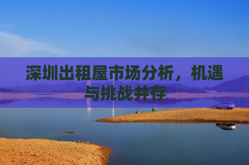 深圳出租屋市场分析，机遇与挑战并存