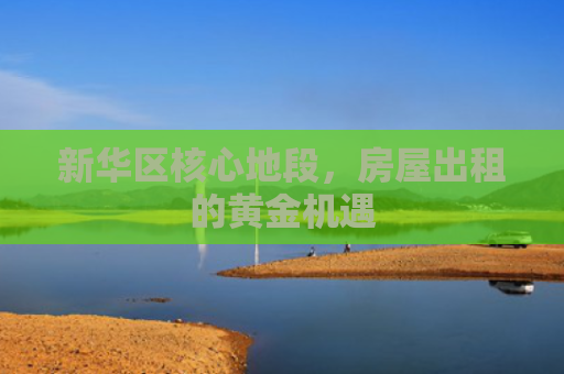 新华区核心地段，房屋出租的黄金机遇