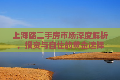 上海路二手房市场深度解析，投资与自住的黄金选择