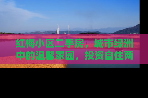 红梅小区二手房，城市绿洲中的温馨家园，投资自住两相宜