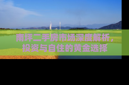 南坪二手房市场深度解析，投资与自住的黄金选择