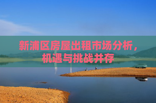 新浦区房屋出租市场分析，机遇与挑战并存