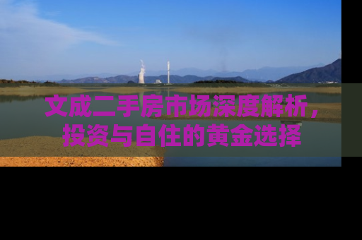 文成二手房市场深度解析，投资与自住的黄金选择
