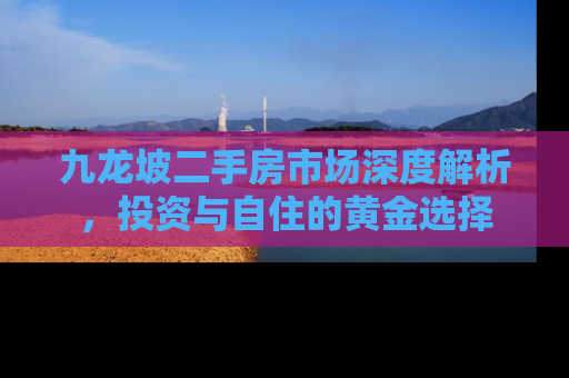九龙坡二手房市场深度解析，投资与自住的黄金选择