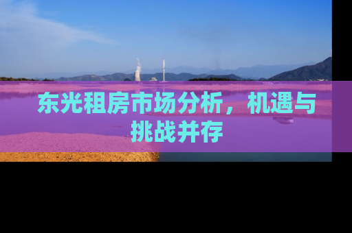 东光租房市场分析，机遇与挑战并存