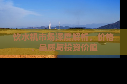 饮水机市场深度解析，价格、品质与投资价值