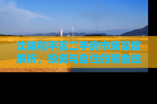 沈阳和平区二手房市场深度解析，投资与自住的黄金选择