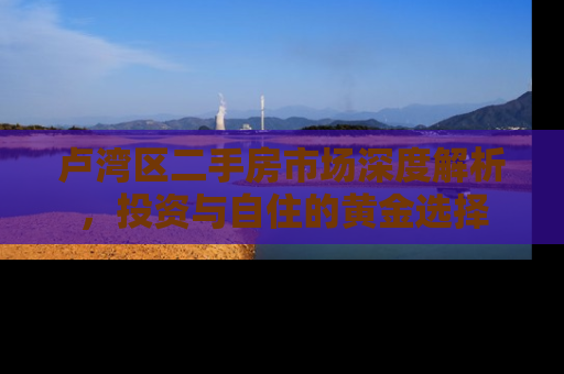 卢湾区二手房市场深度解析，投资与自住的黄金选择