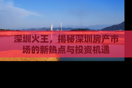 深圳火王，揭秘深圳房产市场的新热点与投资机遇