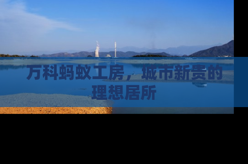万科蚂蚁工房，城市新贵的理想居所