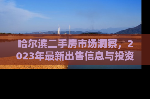哈尔滨二手房市场洞察，2023年最新出售信息与投资指南