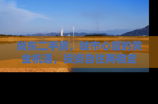 尚东二手房，城市心脏的黄金机遇，投资自住两相宜