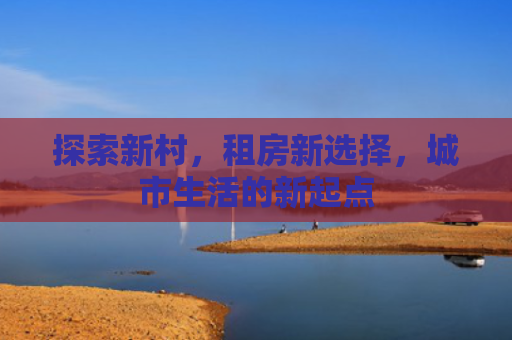 探索新村，租房新选择，城市生活的新起点