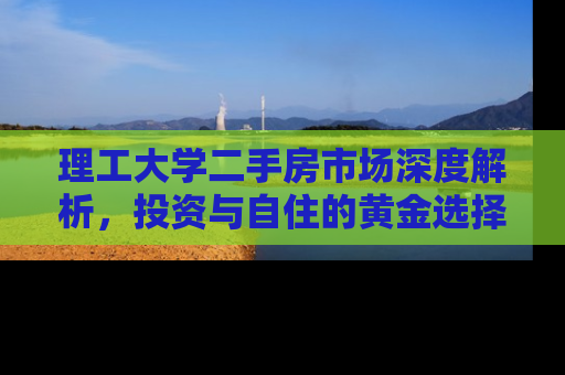 理工大学二手房市场深度解析，投资与自住的黄金选择