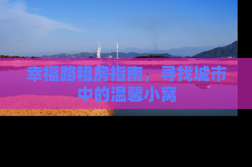 幸福路租房指南，寻找城市中的温馨小窝