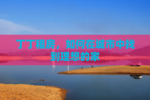 丁丁租房，如何在城市中找到理想的家