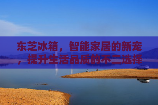 东芝冰箱，智能家居的新宠，提升生活品质的不二选择