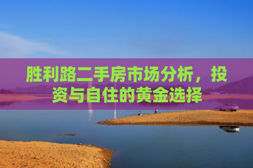 胜利路二手房市场分析，投资与自住的黄金选择