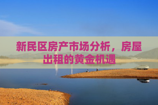 新民区房产市场分析，房屋出租的黄金机遇