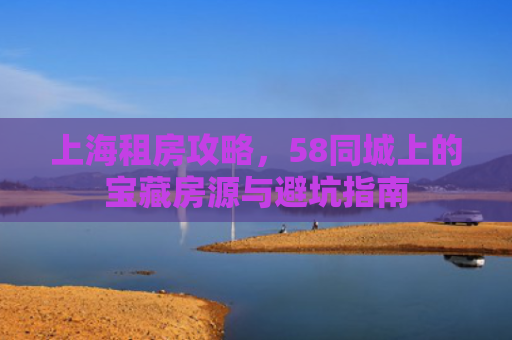 上海租房攻略，58同城上的宝藏房源与避坑指南