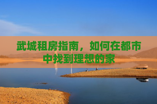 武城租房指南，如何在都市中找到理想的家