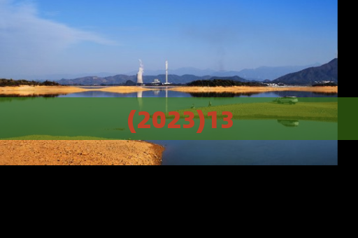 (2023)13