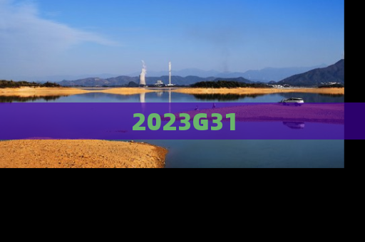 2023G31