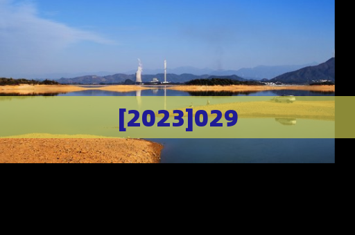 [2023]029