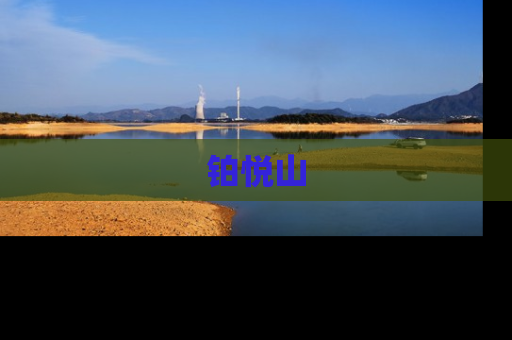 铂悦山