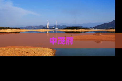 中茂府