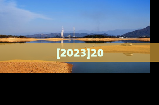 [2023]20
