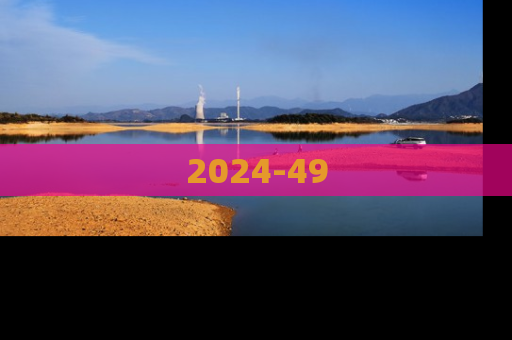 2024-49
